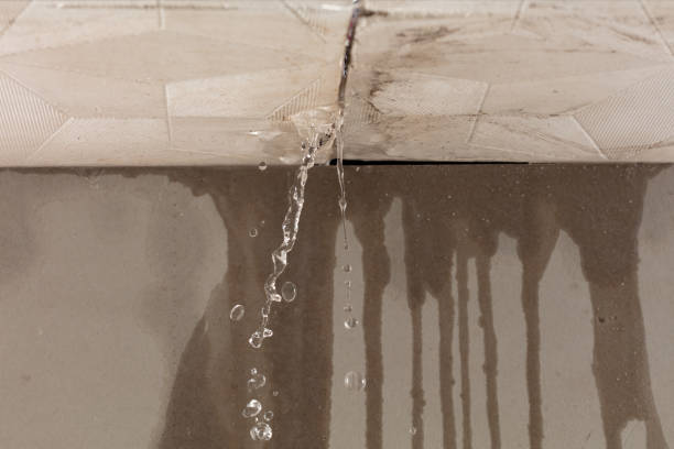 Professional Flood Damage Cleanup technician working in Wentworth, MO